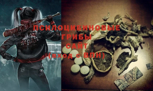 MDMA Premium VHQ Михайловка