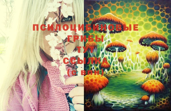 mdma Михайлов